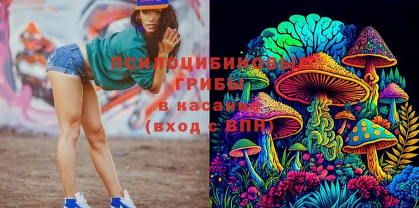 бошки Беломорск