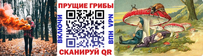 Галлюциногенные грибы Magic Shrooms  даркнет сайт  сайты даркнета клад  Большой Камень 